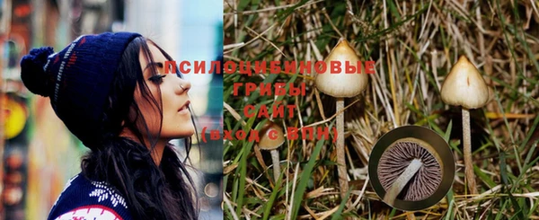 jwh Белокуриха