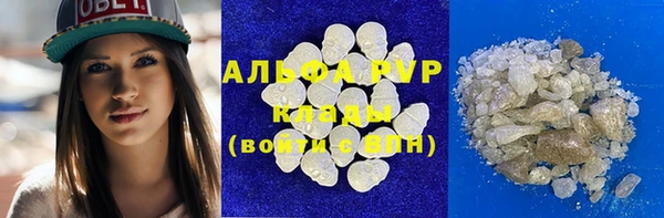 стафф Богданович